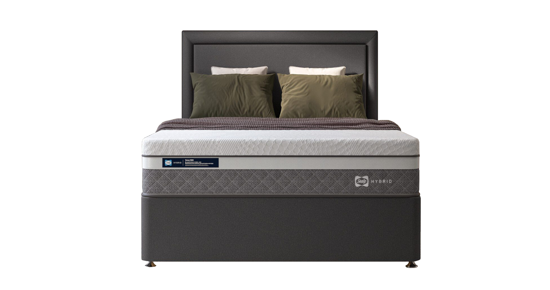 40 Venus bed cut out