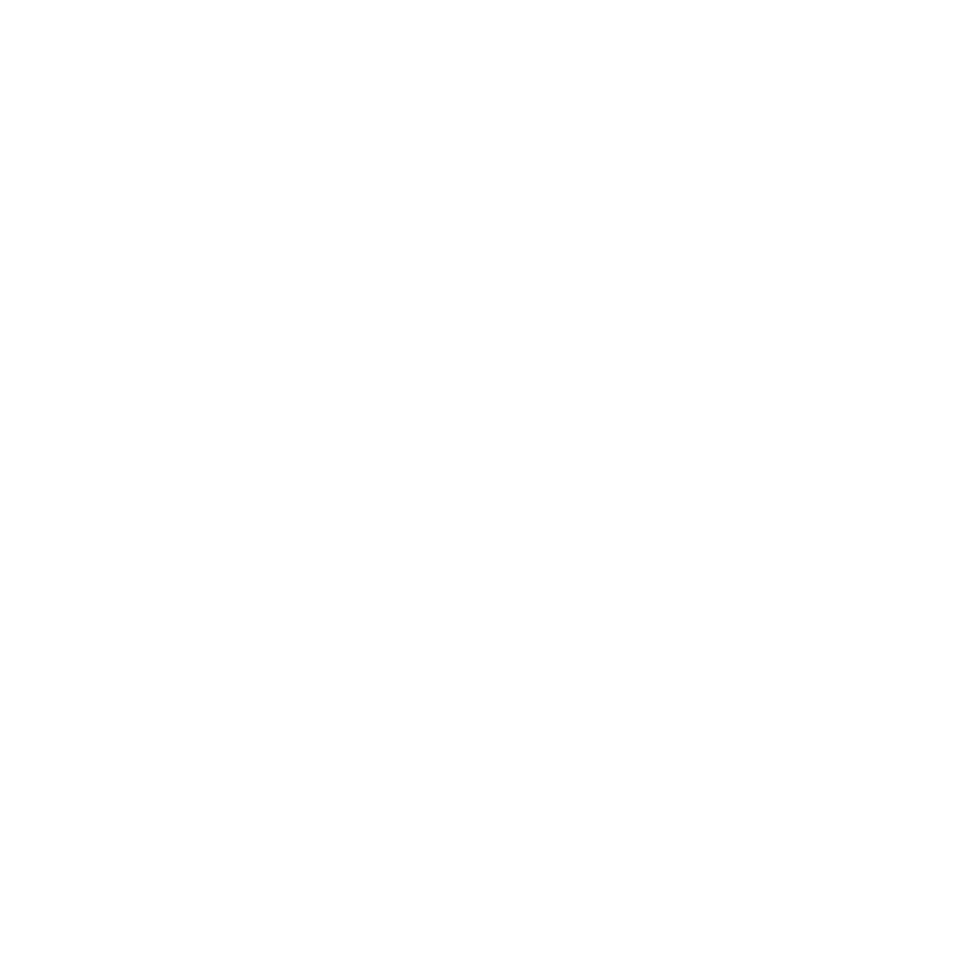 SL Merchant Icon scaled