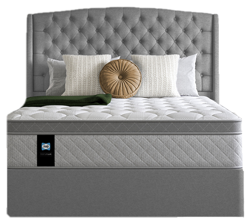bed2 transparent v2